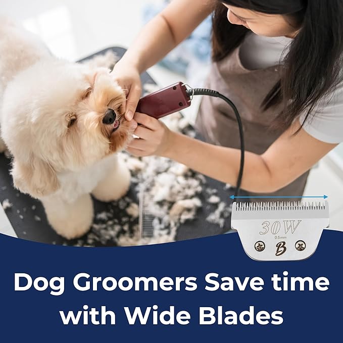Bucchelli Detachable A Series Wide 30 Blades for Dog Grooming Cuts Length 1/50" - 0.5mm Japanese Carbonized Steel Wide Grooming Blades Compatible A5 Series Wide Clippers for Dogs(30W)
