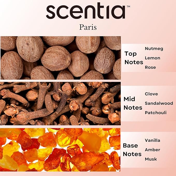 Scentia Paris Muse Aromatherapy Oil for Diffuser – Hotel Scent Inspired by Hotel Costes Paris – 20 mL – Rose, Sandalwood & Clove Natural Fragrance Oil for Waterless & Cold Air Diffusers, Made in USA
