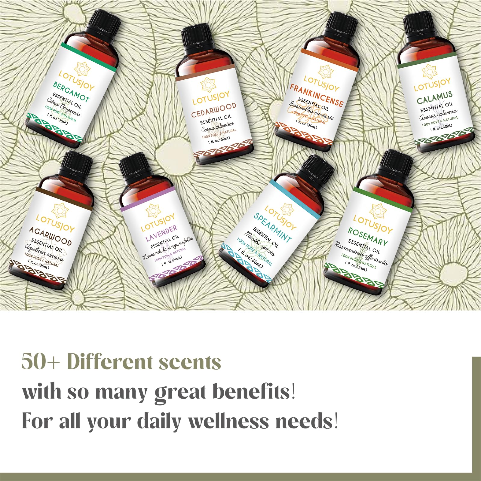 LOTUSJOY Fennel Essential Oil, 100% Pure, 1 Oz