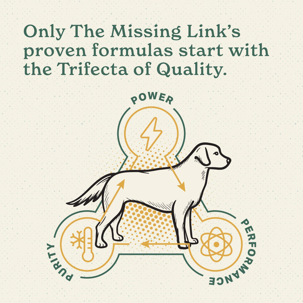 The Missing Link Hip & Joint + Probiotics Supplement 1lb Bag 2/Pack - Superfood Powder for Dog Cartilage & Bone Health, Joint Mobility & Flexibility