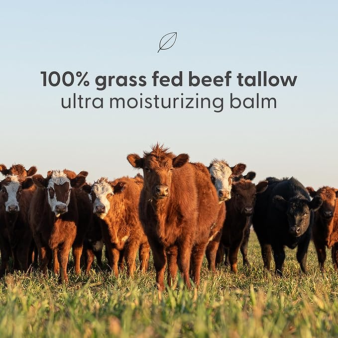 Grass Fed Beef Tallow and Honey Balm for Face - Deeply Moisturizing & Nourishing Beef Tallow Face Moisturizer with Cold-Pressed Olive Oil for Beautiful Skin Glow & Softness (Light Herbal Scent, 2oz)