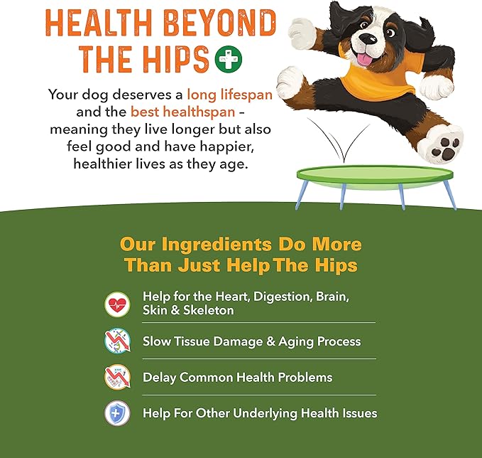 Bernie's Healthy Hips, Hip and Joint Supplement for Dogs, 90 Ct Soft Chews