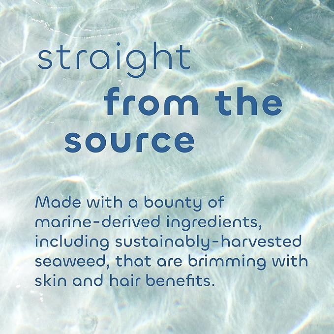 Seaweed Bath Co. Purify Detox Facial Bar Soap, 3.75 Ounce, Sustainably Harvested Seaweed, Volcanic Ash