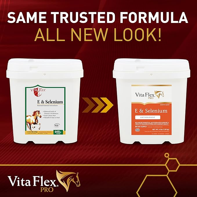 Vita Flex Pro E & Selenium Supplement, Vitamin E and Selenium Powder for Horses, Balanced Antioxidants, Equine Vitamin E Supplement, Horse Vitamins and Minerals, 4 lb, 64-Day Supply