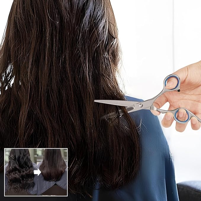 Homekoey Hair Cutting Scissors,6.5 Inch Professional Stainless Steel Barber Haircut Shears Razor,Sharp Blades,One Comb Included, For Salon Home Men Women Adults Kids Pet (Silver)