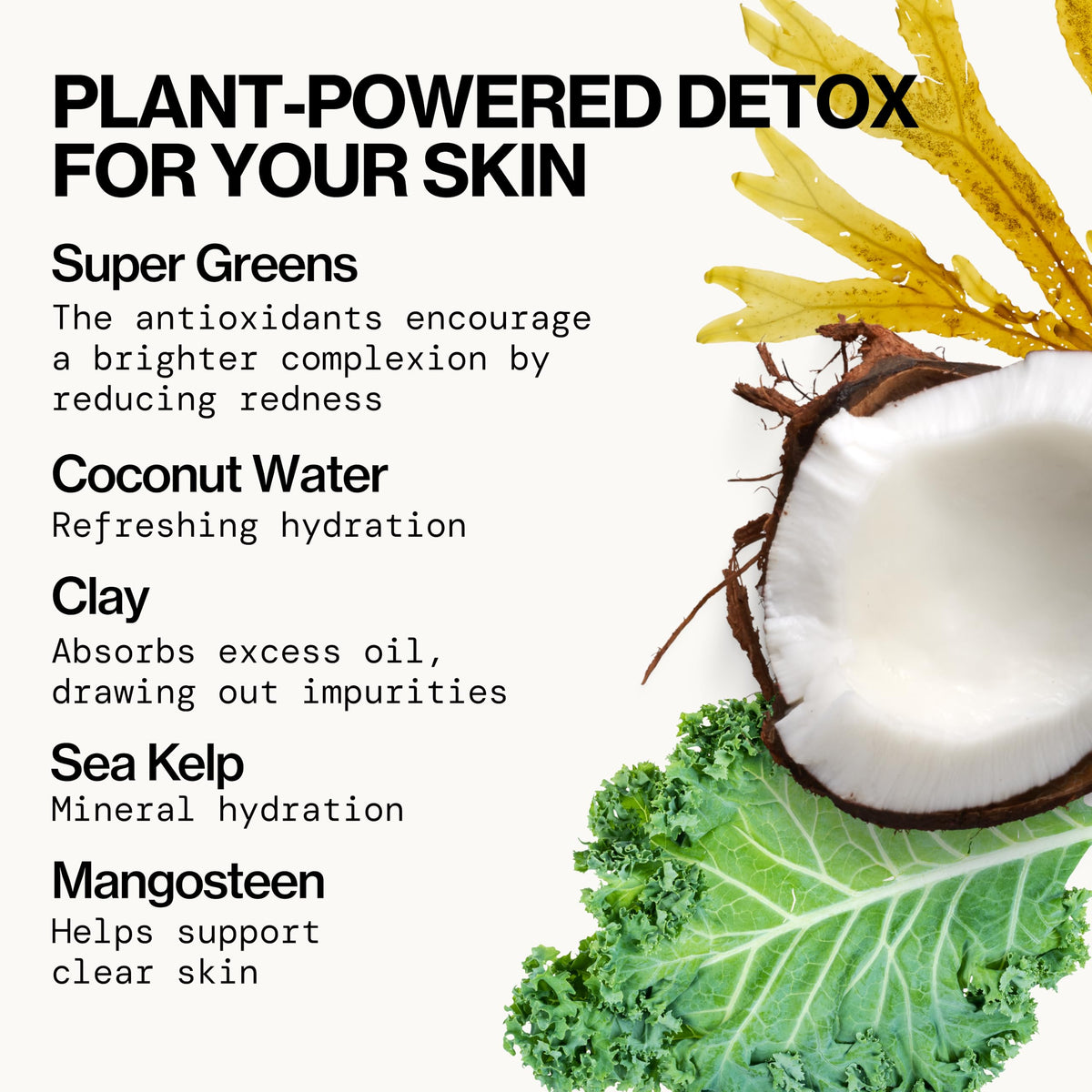 Pacifica Kale Detox Face Wash for Oily & Acne-Prone Skin, Deep Cleansing Facial Cleanser & Makeup Remover with Super Greens Kale, Seaweed & Clay, 5 fl oz –Clean Beauty, Vegan & Cruelty-Free