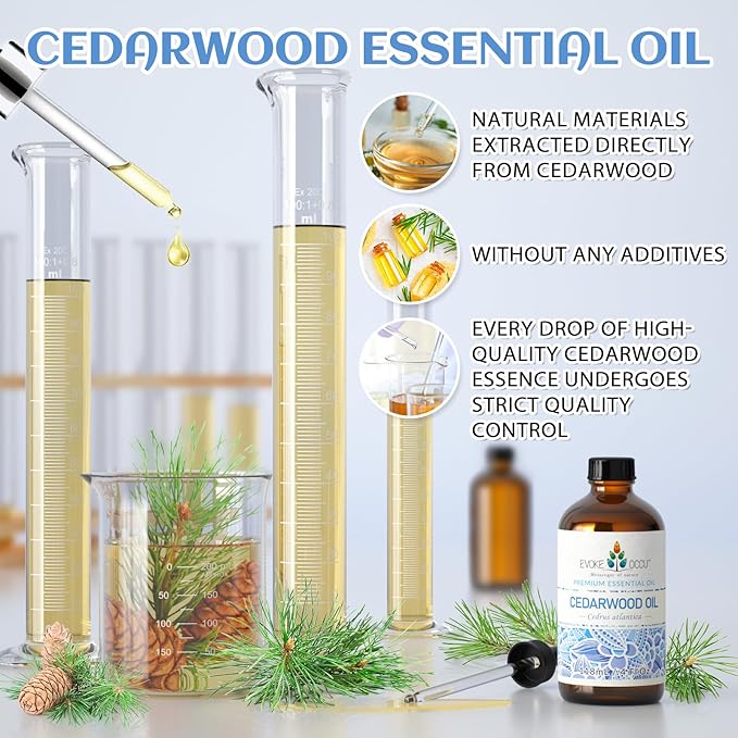 EVOKE OCCU Cedarwood Essential Oil for Diffuser, Aromatherapy & Skin Care