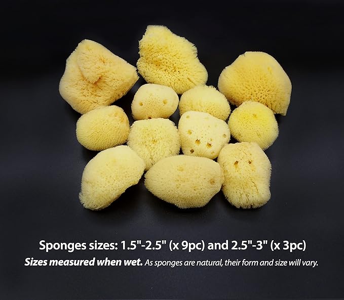 Natural Sea Silk Sponges 12pk, Cosmetic Grade Makeup & Blending Facial Care
