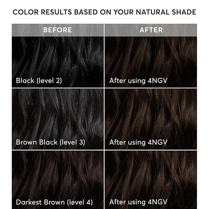 Madison Reed Radiant Hair Color Kit - 4NGV Darkest Golden Brown with Warm Tones (Venezia Brown), Permanent Hair Dye, Superior Gray Coverage & Dimensional Color | PPD-Free & Ammonia-Free, 1 Pack