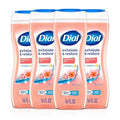 Dial Body Wash, Exfoliate & Restore Himalayan Salt, 16 Fl Oz, 4-Pack