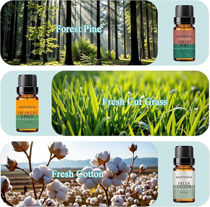 AROPERIMA Clean Home Fragrance Essential Oil Set - Forest Pine, Fresh Cut Grass, Fresh Cotton, Ocean Breeze, Orange, Amber 6x10ML Essential Oil for Diffusers, Soap Making and Candle