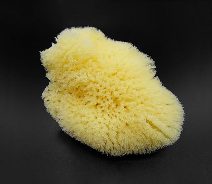 Natural Sea Silk Sponges 12pk, Cosmetic Grade Makeup & Blending Facial Care