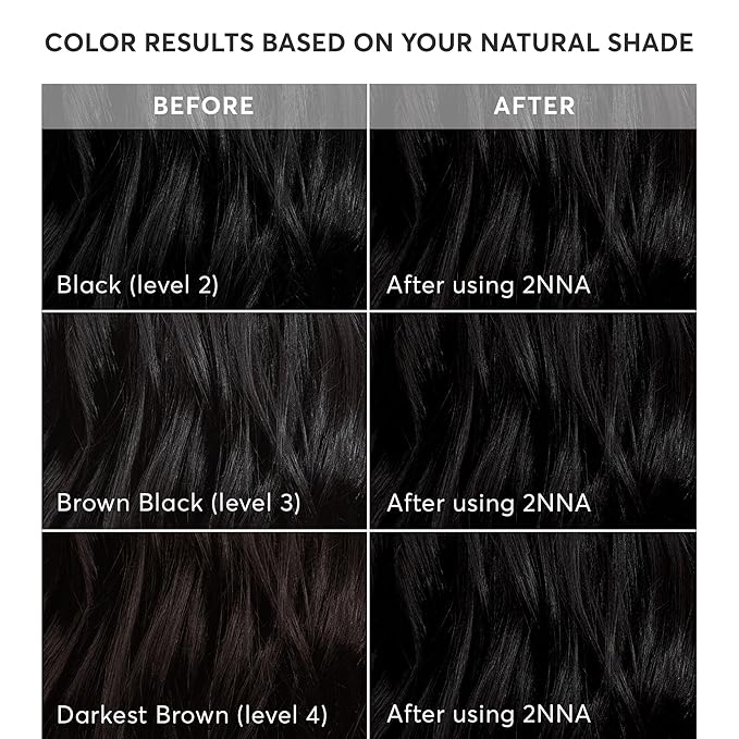 Madison Reed Radiant Hair Color Kit - 2NNA Darkest Cool Black with Ash Undertones (Pescara Black), Salon-Quality Permanent Hair Dye, 100% Gray Coverage | PPD-Free & Ammonia-Free, 1 Pack