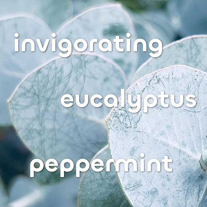 Seaweed Bath Co. Hydrate Body Wash, Eucalyptus Peppermint 12 oz (Pack of 2)