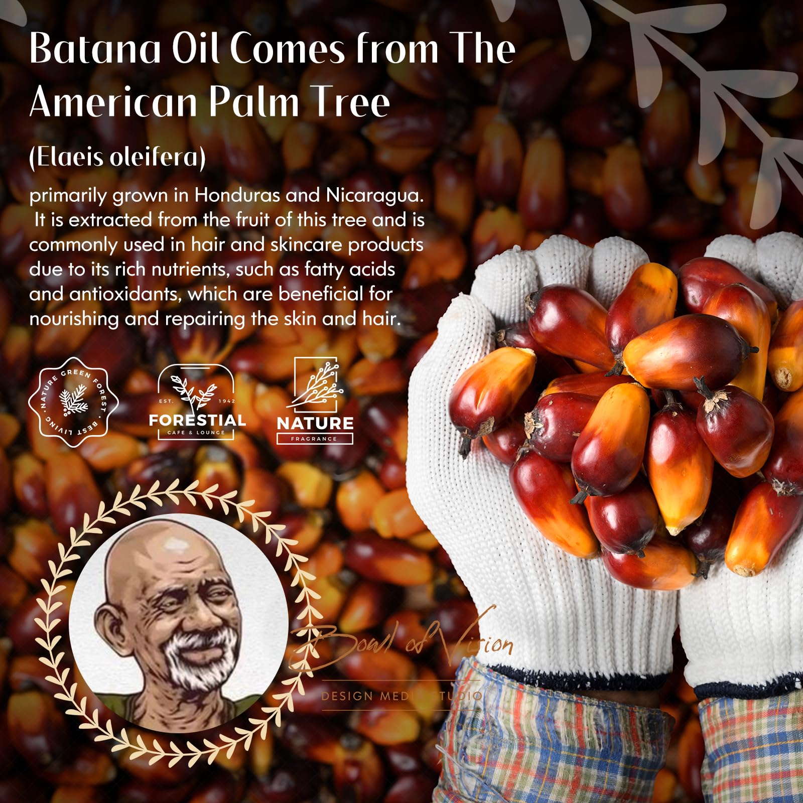 Adevwair Batana Oil for Hair Growth, Dr Sebi 100% Pure Organic Natural Ingredients from Honduras Reduces Hair Loss, Restores Dry Damaged Hair for Women Men