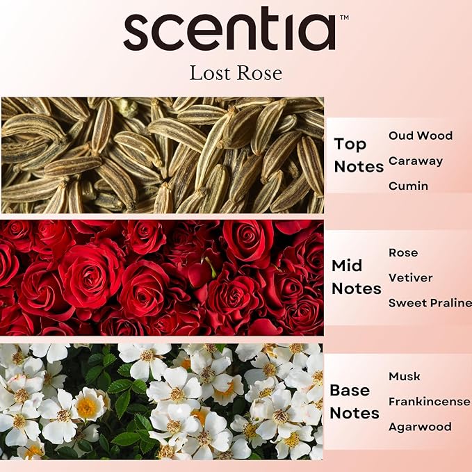 Scentia Lost Rose Aromatherapy Oil for Diffuser – Hotel Scent Inspired by Fairmont – 20 mL – Rose, Oud Wood & Clove Natural Fragrance Oil for Waterless & Cold Air Diffusers, Made in USA