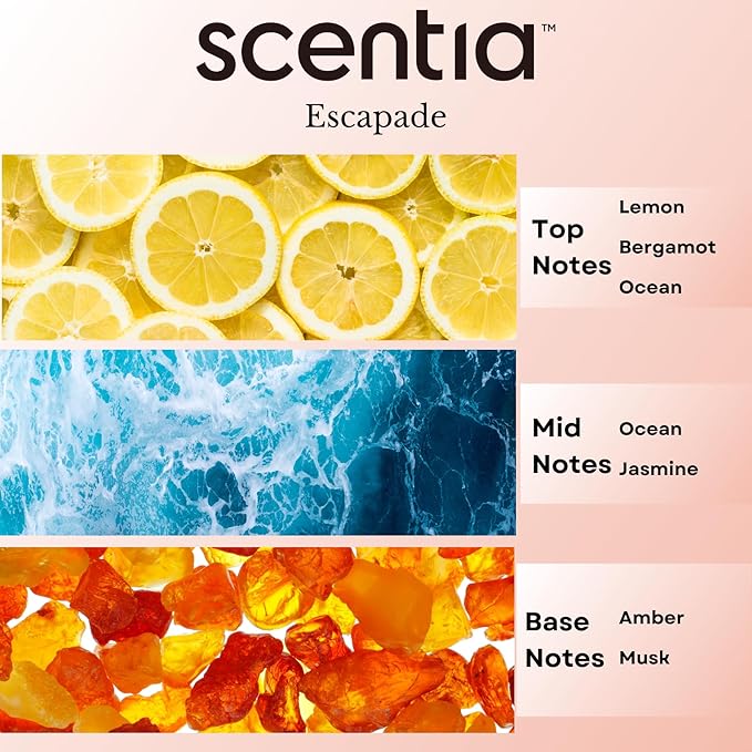 Scentia Escapade Aromatherapy Oil for Diffuser – Hotel Scent Inspired by 5-Star Resort – 20 mL – Jasmine, Bergamot & Marine Natural Fragrance Oil for Waterless & Cold Air Diffusers, Made in USA