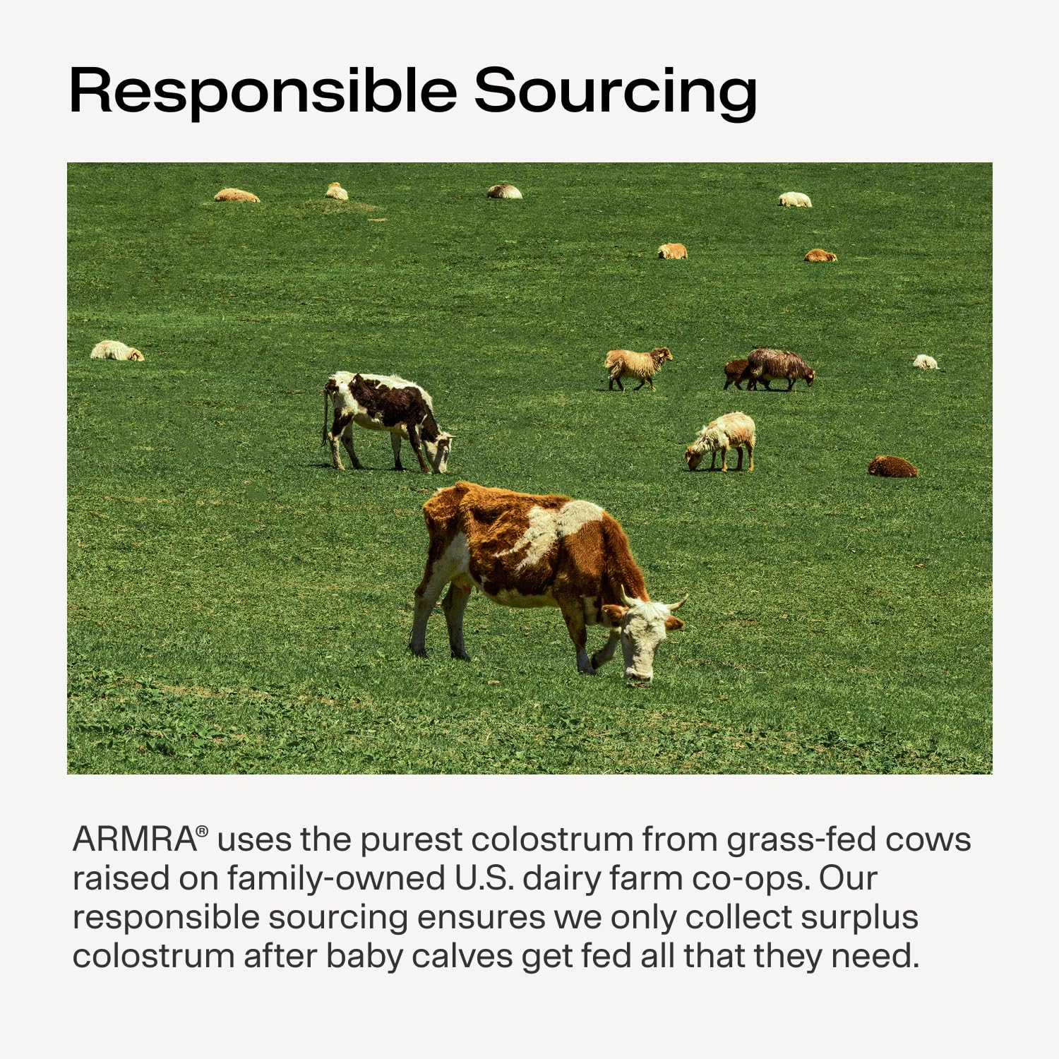 ARMRA Colostrum™ Powder | Blood Orange | Gut Health & Bloating | Skin & Hair | Immunity | Keto, Gluten & Fat-Free | 30 Servings