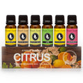 Eternal Essence Oils Citrus Set of 6 Premium Fragrance Oils - Lemon Grass, Blossom, Sugar, Lime, Grapefruit, and Pineapple - for Diffusers, Candle & Soap Making, & Aromatherapy - 10ML