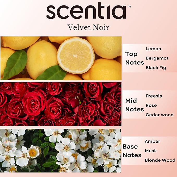 Scentia Noir Mystique Aromatherapy Oil for Diffuser – Hotel Scent Inspired by Edition Hotel – 20 mL – Rose, Bergamot & Musk Natural Fragrance Oil for Waterless & Cold Air Diffusers, Made in USA