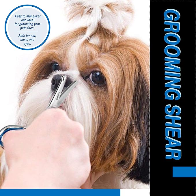 Laazar Straight Dog Grooming Scissors - Comfortable Around The Eyes Cat & Dog Scissors | Blunt Dog Trimming Scissors| Premium Stainless Steel | Grooming Scissors For Dogs - Small Dog Scissors