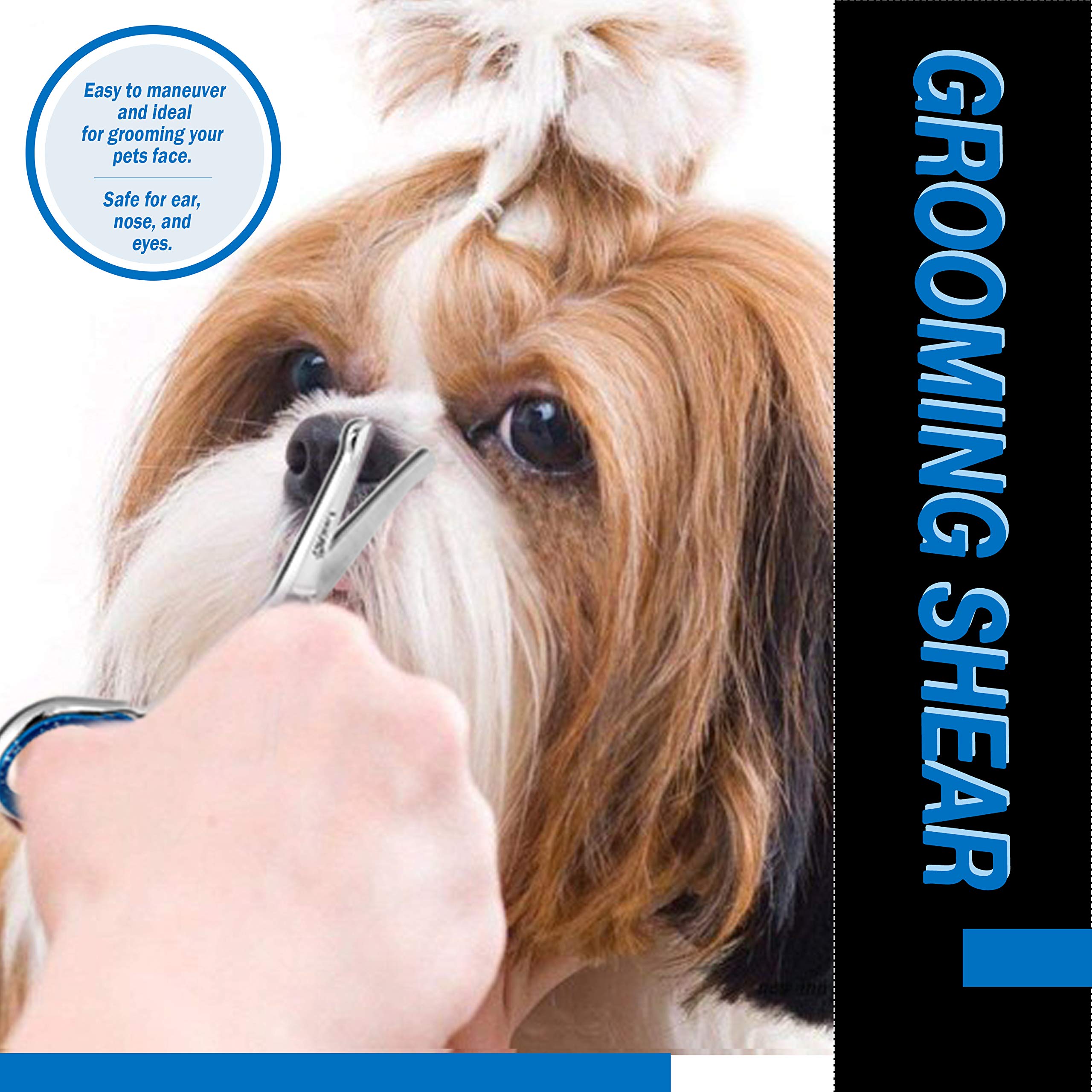 Laazar Straight Dog Grooming Scissors - Comfortable Around The Eyes Cat & Dog Scissors | Blunt Dog Trimming Scissors| Premium Stainless Steel | Grooming Scissors For Dogs - Small Dog Scissors