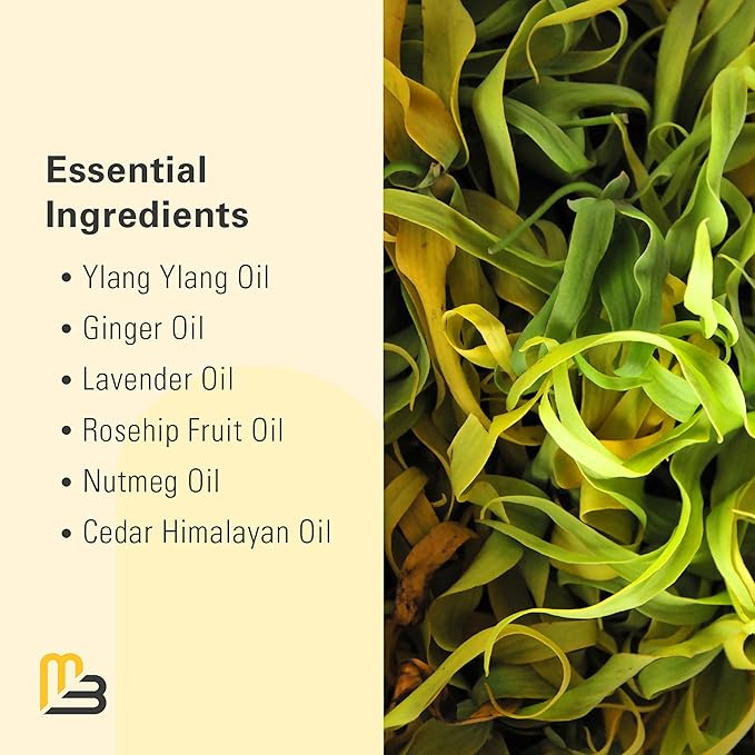 Lymphatic Drainage Oil for Massage Therapy with Ylang Ylang by M3, 8Fl Oz