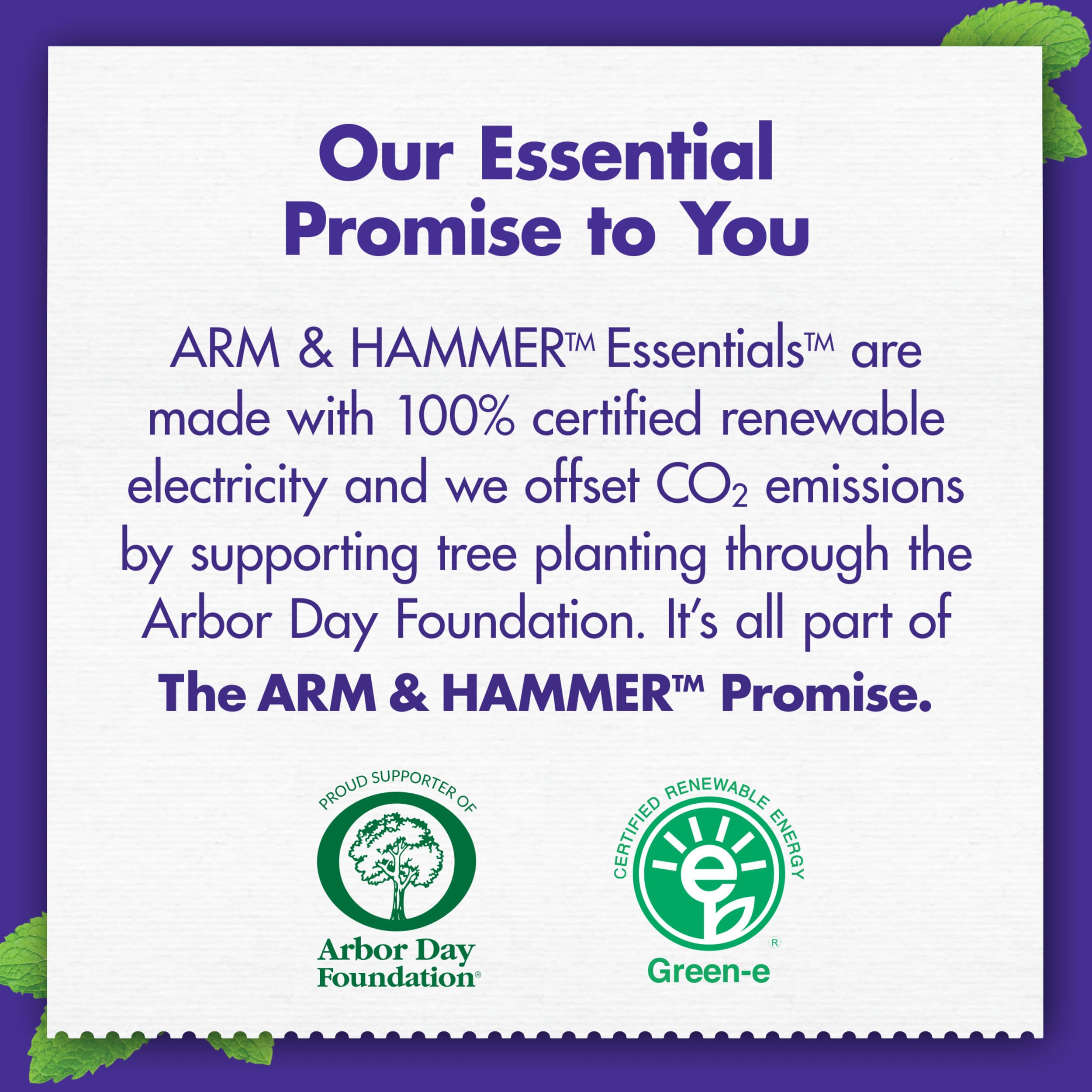 ARM & HAMMER Essentials Fluoride-Free Toothpaste, Whitening + Activated Charcoal Toothpaste, 4 Pack of 4.3oz Tubes, Clean Mint, 100% Natural Baking Soda