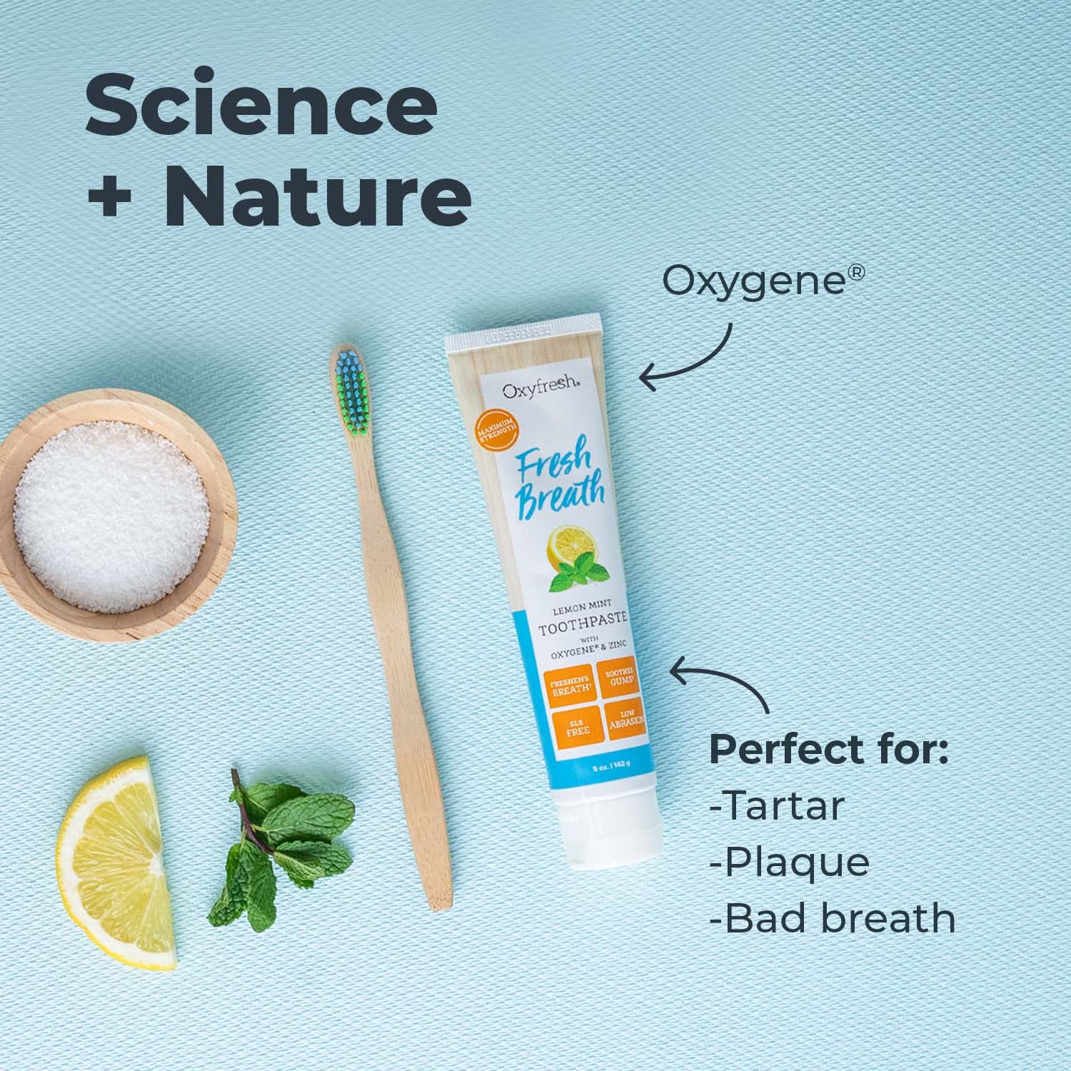 Oxyfresh Maximum Fresh Breath Lemon Mint Toothpaste - Clean Teeth & Fresh Breath - Natural Essential Oils & Natural Xylitol to Help Fight Tartar - SLS & Fluoride Free - 5 oz (Pack of 3)