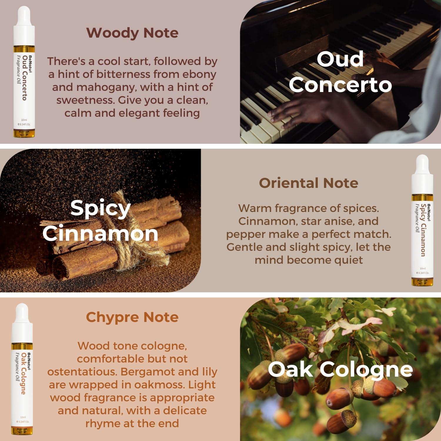 Benatu Gentleman Premium Fragrance Oils Set for Diffuser - Men Scents Perfume Oil Gift for Home (Classic Tobacco, Captain Rum, Soft Leather, Oud Concerto, Spicy Cinnamon, Oak Cologne) 6 Pcs
