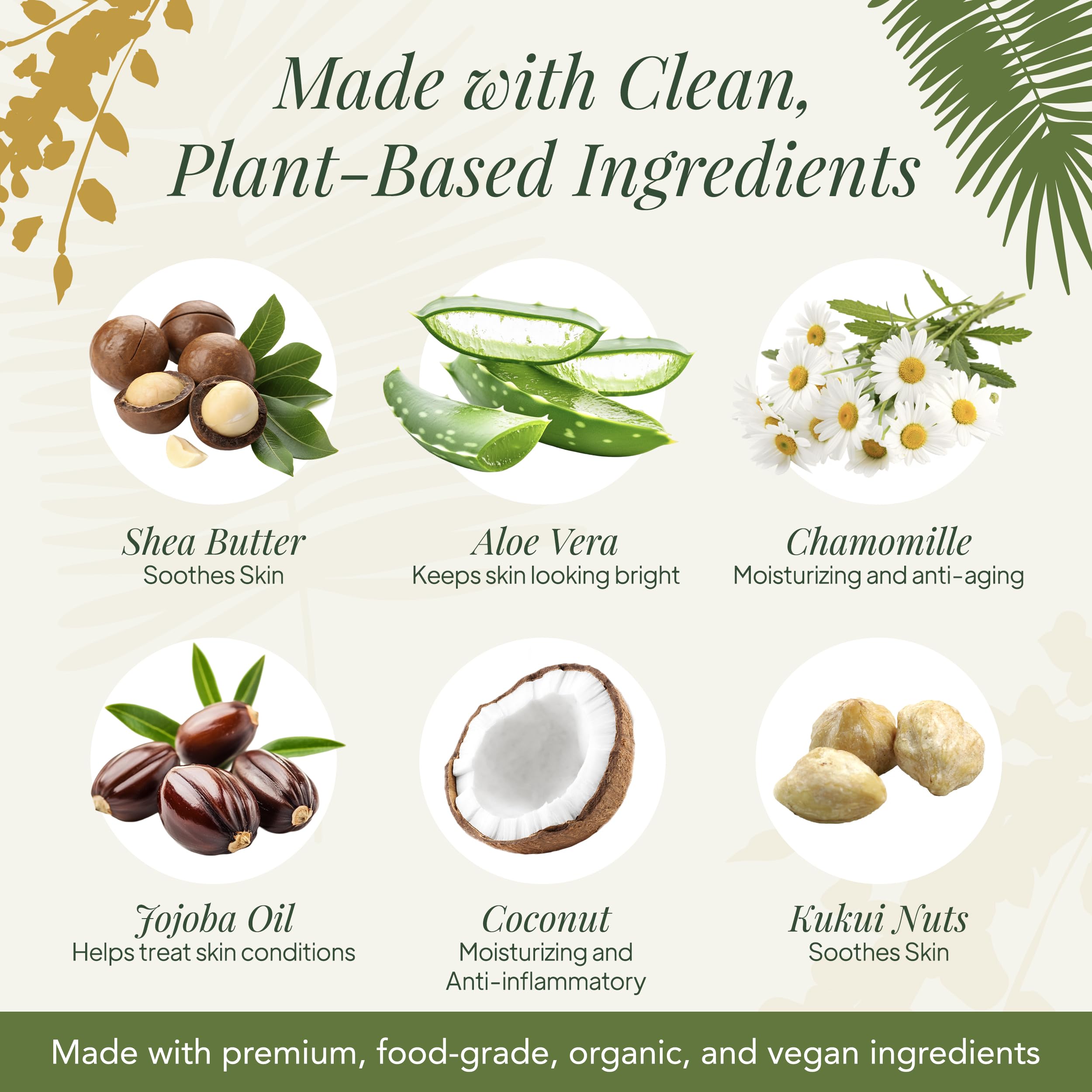 Saavy Naturals Moisturizing Body Wash for Sensitive Skin – Plant-Based & Pure with Coconut Oil, Shea Butter & Aloe Vera – Paraben-Free, Cruelty-Free – Tropical Coconut – 8.5 fl oz, 2 pack