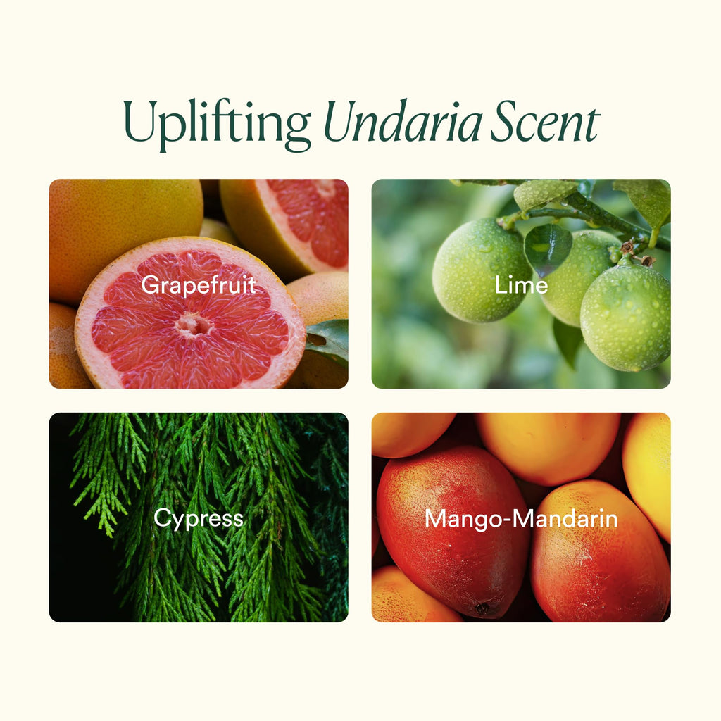 OSEA Undaria Body Bestsellers Full Size Set – Limited Edition Holiday Bundle - Includes Undaria Algae™ Body Oil 5oz & Undaria Algae™ Body Lotion 5oz – Hydrating & Firming Body Care
