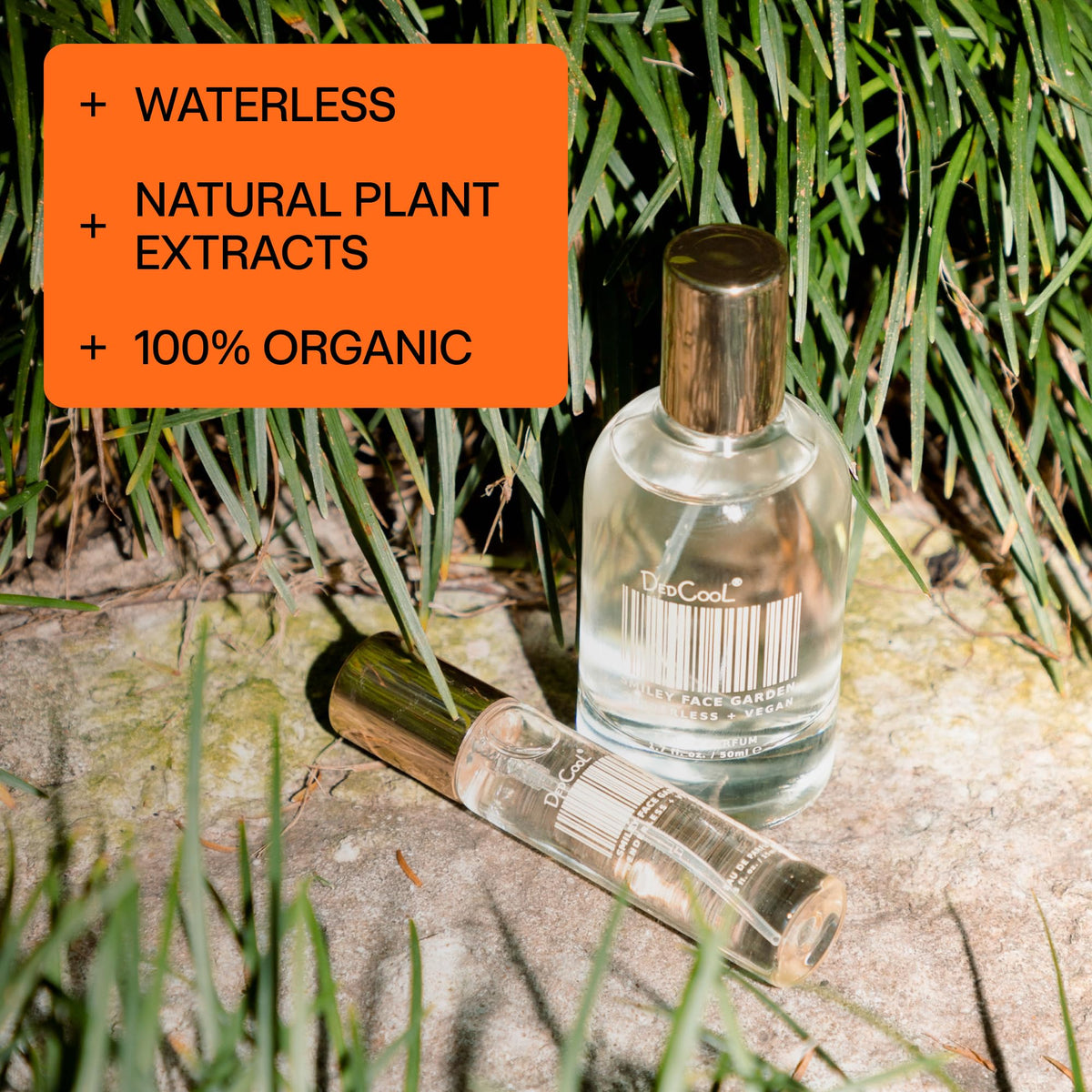 DedCool - Genderless + Vegan Eau de Parfum | Clean, Non-Toxic Fragrance For All (1.7 fl oz | 50 ml) (XtraMilk)