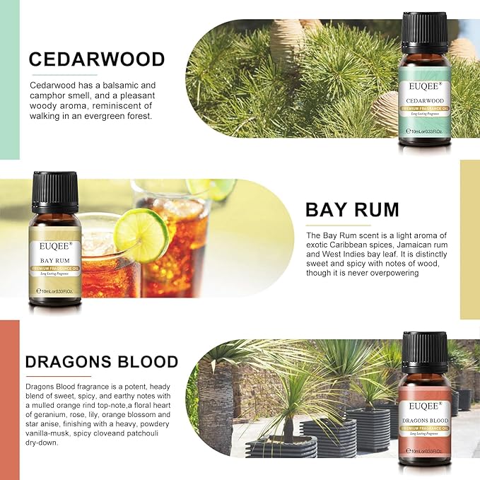 EUQEE 6PCS Men's Pubs Gift Set Premium Fragrance Oils for Men