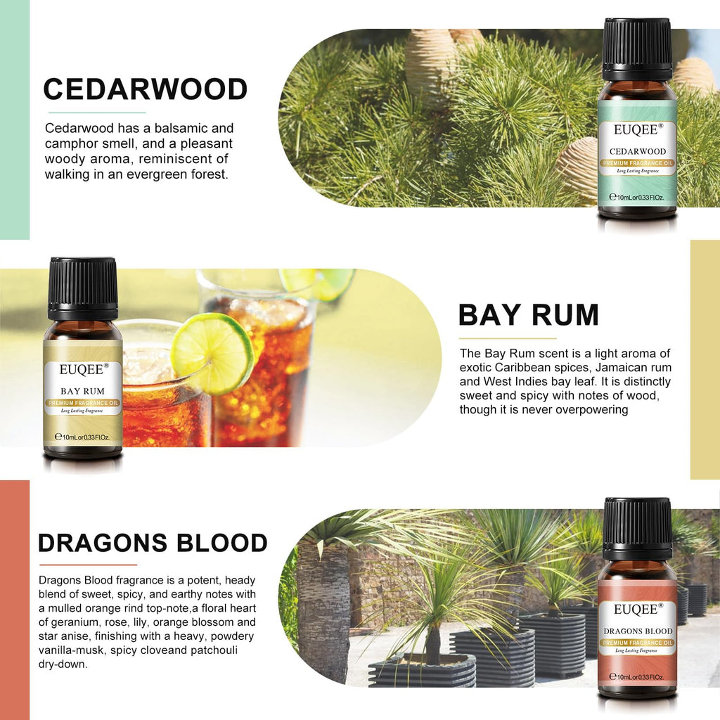 EUQEE 6PCS Men's Pubs Gift Set Premium Fragrance Oils for Men