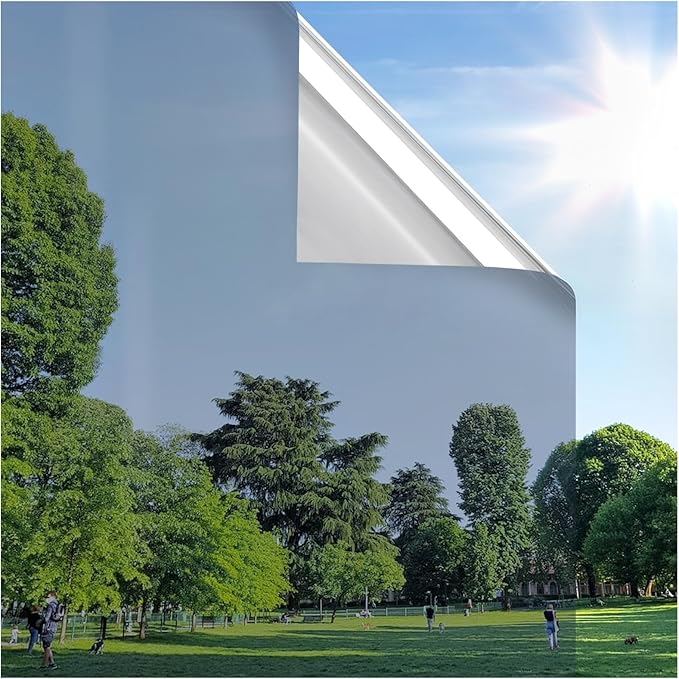 rabbitgoo Window Privacy Film One Way Window Tint for Home, Removable Reflective Heat Sun Blocking Anti UV Glass Door Covering, Mirror Tinting Film House Office, 23.6 in X 6.5 Feet, Silver