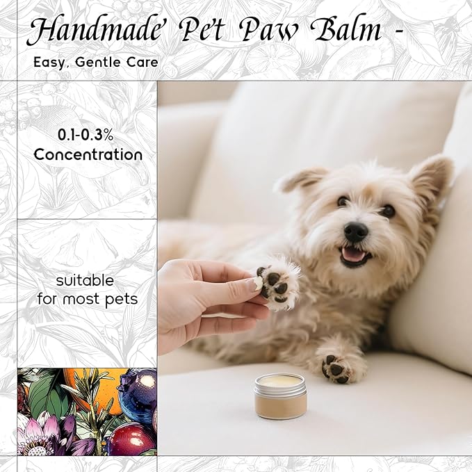 HIQILI Candied Plum Fragrance Oil for Diffuser, Candle & Soap