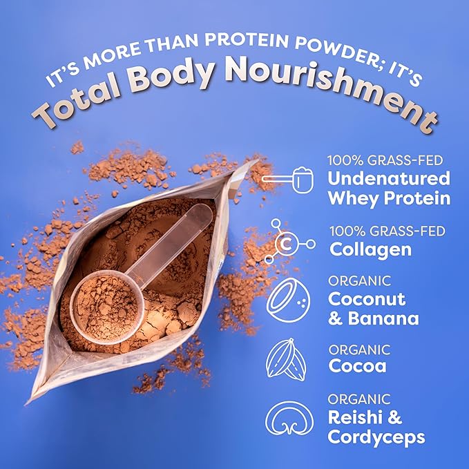 FlavCity Chocolate All in One Protein Shake Powder - On the Go Meal Alternative + Collagen Peptides, Reishi & Cordyceps - Focus, Skin, Hair & Joint Support - 100% Grass Fed Whey, 20 Servings