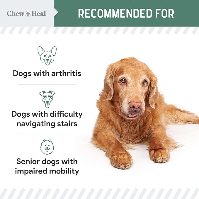 Glucosamine for Senior Dogs Hip and Joint Supplement, 60 Mobility Chews