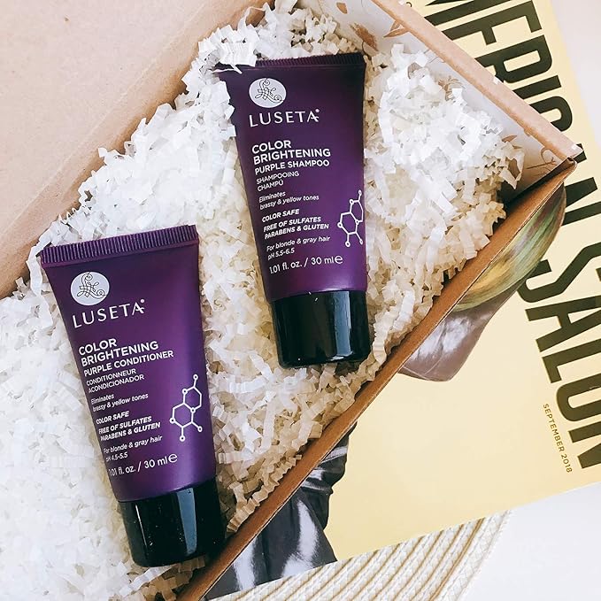Luseta Color Brightening Purple Travel Shampoo and Conditioner Mini Kit for Blonde, Silver and Gray Hair - Brassiness Neutralizer for Highlighted and Bleached Hair, 2x1.01oz Carry on Friendly