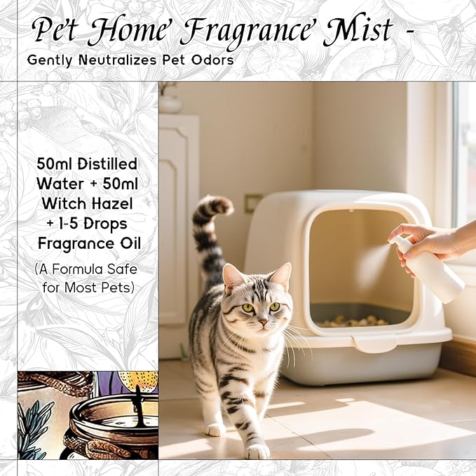 HIQILI Wild Bluebell Fragrance Oil for Diffuser, Candle & Soap Craft