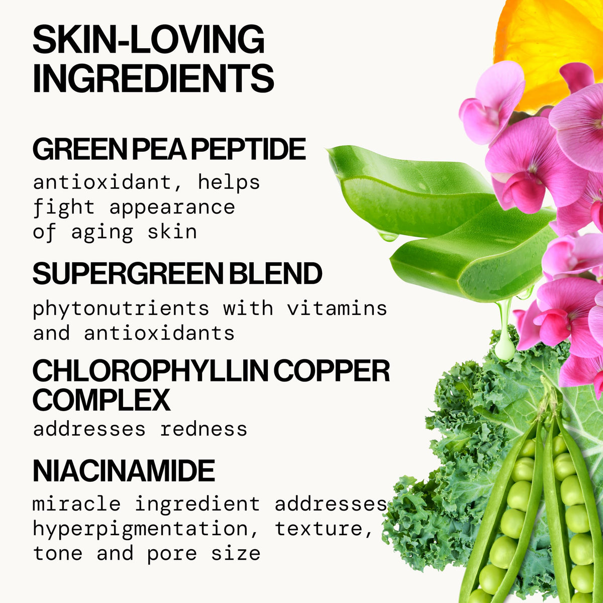 Pacifica Kale Smoothie Face Lotion, Refining Skincare, Face Moisturizer, Niacinamide, Vitamin C and E, Minimize Pores, Face Serum, For All Skin Types, Oily, Combination, Vegan, 1.7 fl oz (1 Count