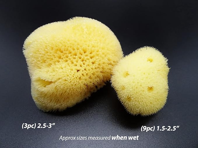 Natural Sea Silk Sponges 12pk, Cosmetic Grade Makeup & Blending Facial Care
