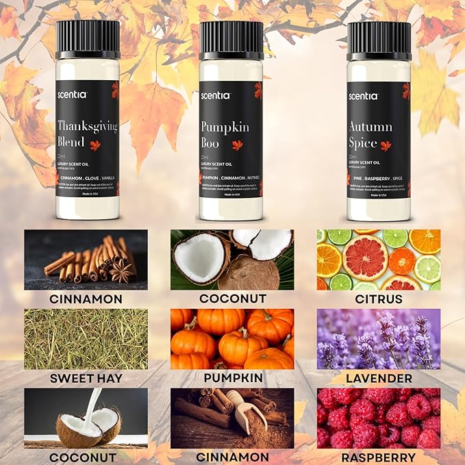 Scentia Pumpkin Vanilla Bakery Aromatherapy Diffuser Oil Collection – Essential Oil Blend for Candles, Home & DIY Cozy Scents 3x20ml Discovery Set