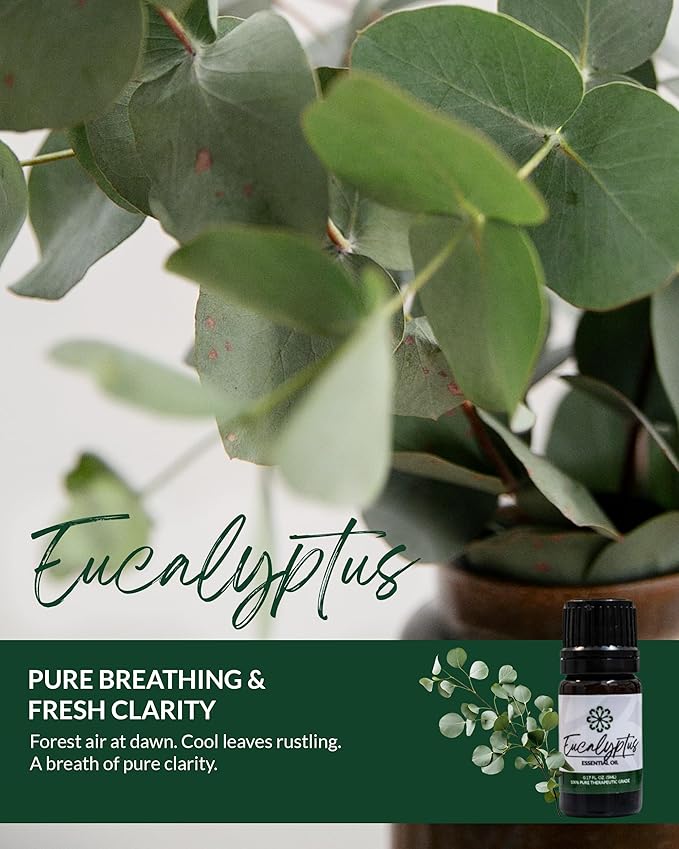 Essence Pearl Travel Case | Eucalyptus Essential Oil | Aromatherapy Nasal Diffuser & Essential Oil Carrying Case | Refreshing Eucalyptus Scent | Travel-Friendly Kit | Black Pod
