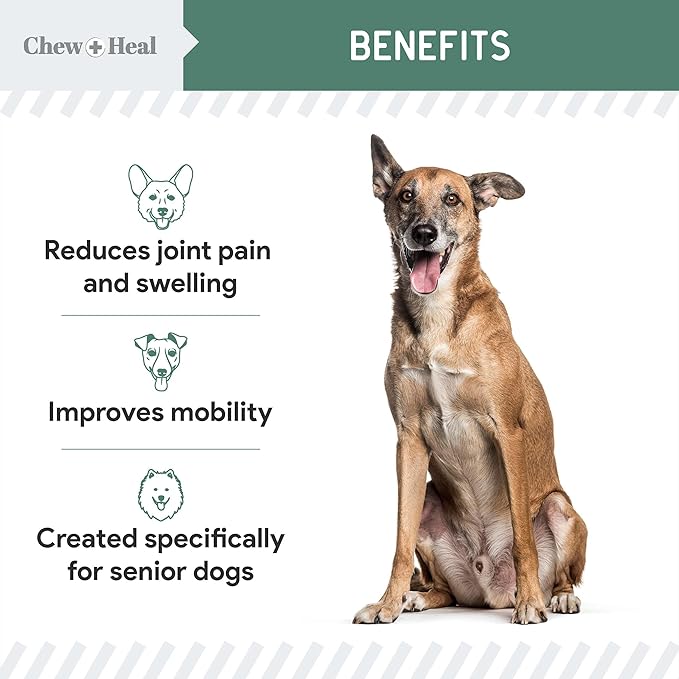 Glucosamine for Senior Dogs Hip and Joint Supplement, 60 Mobility Chews