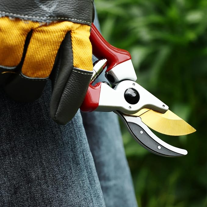 RESTMO Pruning Shears, 8.6 Inch, Titanium Blade, Bypass, Red