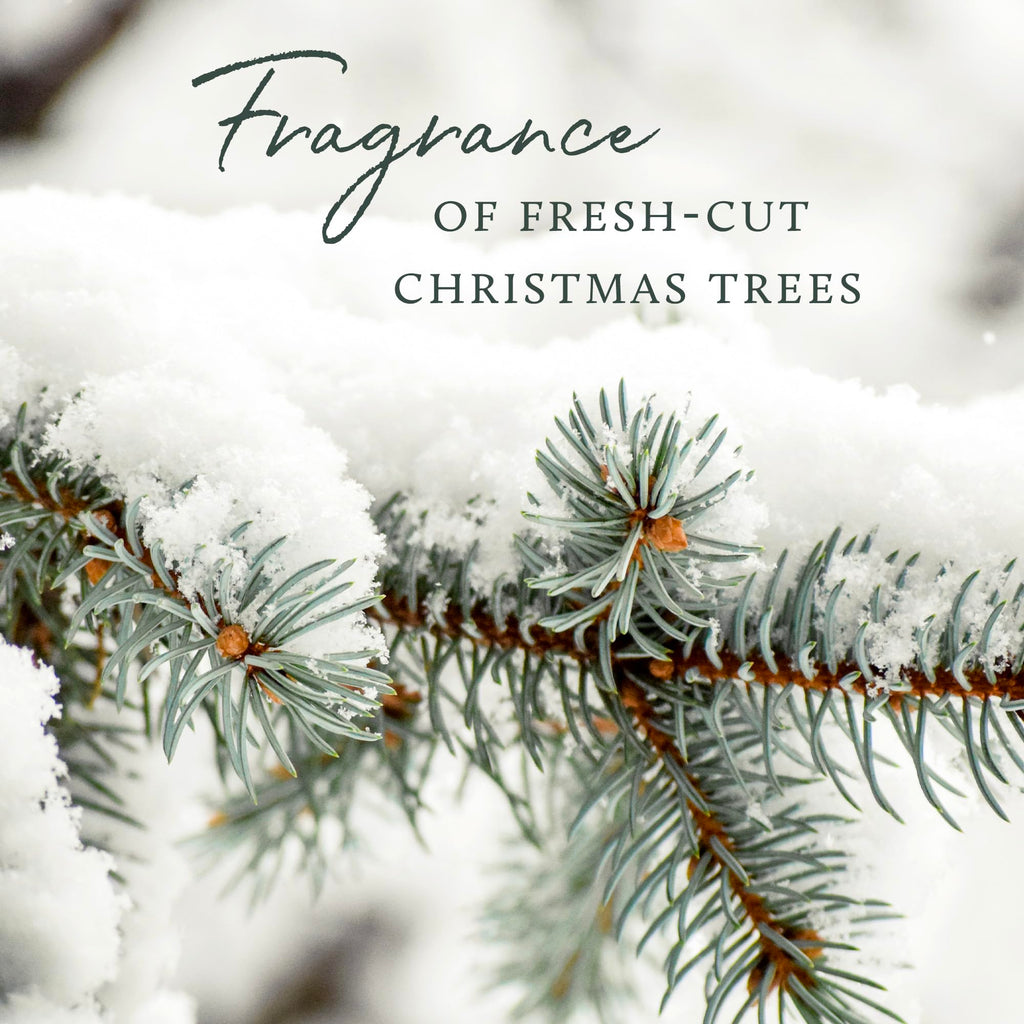Thymes Home Fragrance Mist – Room Air Fresheners for Home Long Lasting – Air Freshener Spray – Pine Room Spray with Notes of Crisp Siberian Fir Needles, Cedarwood & Sandalwood (Frasier Fir, 3 oz)