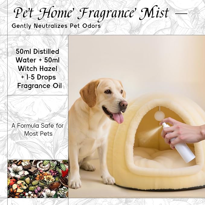 HIQILI Parisian Nocturne Fragrance Oil for Diffuser,DIY Perfume & Soap