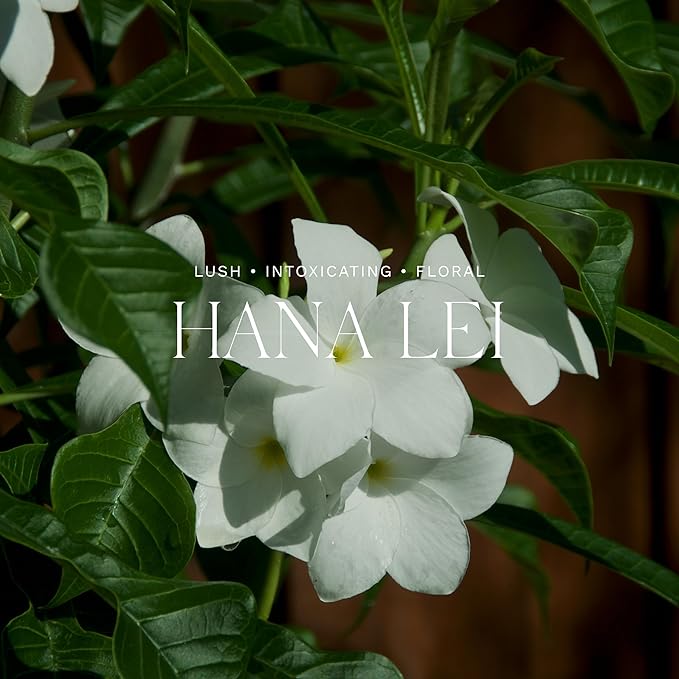 Antica Farmacista Room Spray - Elegant House Spray - Long-Lasting, Room Fragrance - Luxury Gift for Housewarming - Hana Lei, 3.4 fl oz